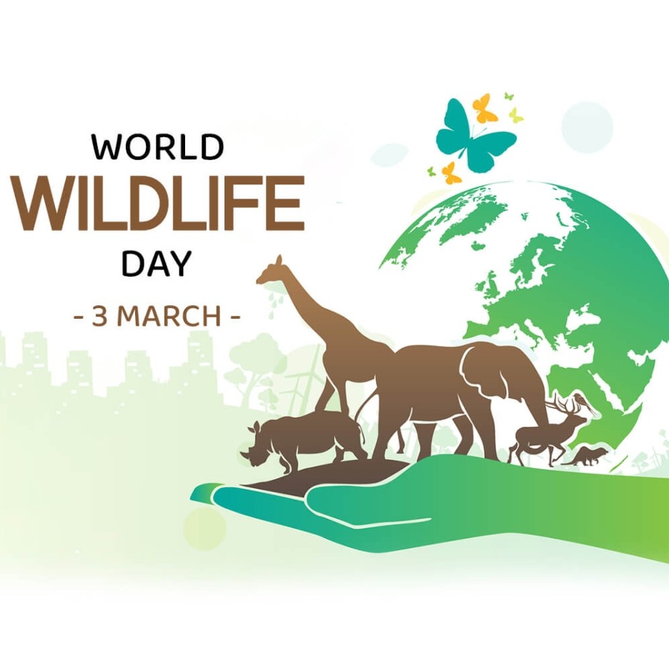World Wildlife Day: 03 March | Download Poster, Status and hd PHotos Free 7 World Wildlife Day Free Stock Image Download